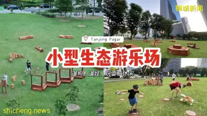 小空地大改造！丹戎巴葛全新生态游乐场🌳小朋友可以尽情玩耍，还能带狗狗前来自由狂奔👣