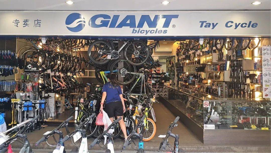 在新加坡買自行車貴嗎？從中國海運更便宜嗎