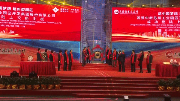 新中两国首个大型合作项目上市,市值超200亿!