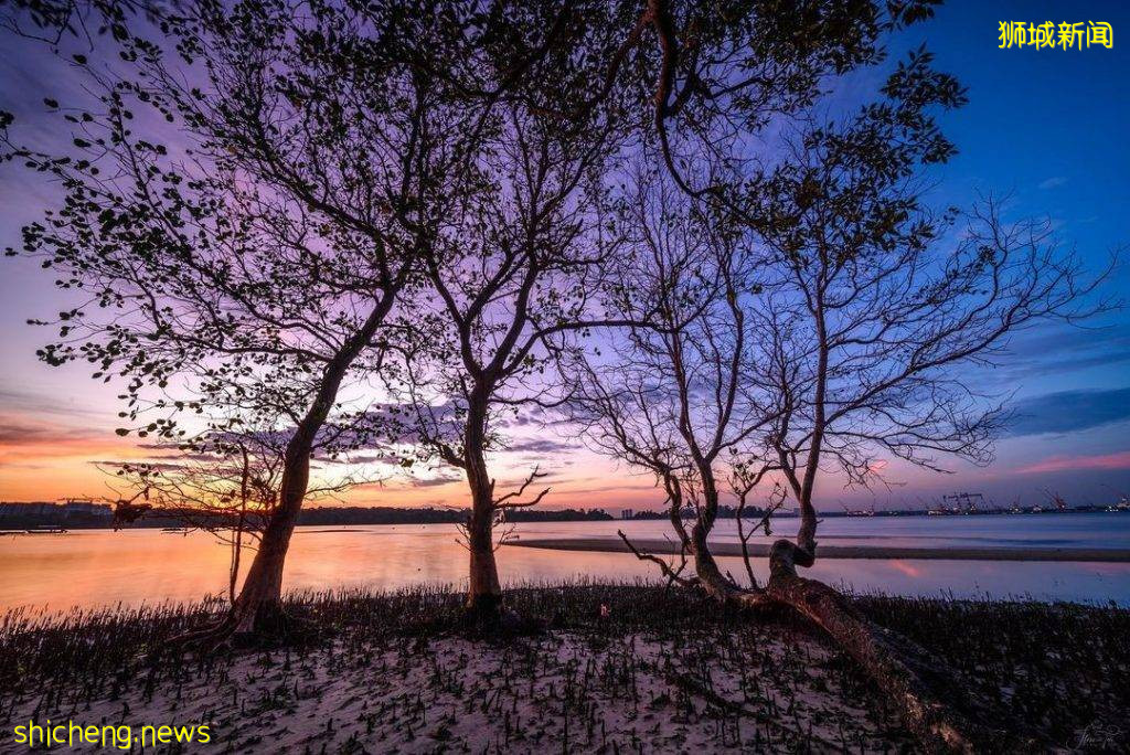 “Jenal Jetty”新加坡最后一个渔村!无水电、无网络🌐不开放给公众进入、只能在义顺水坝遥望😭