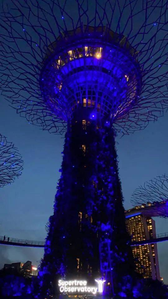新加坡43座著名建筑物和地标亮起梦幻灯光,你们拍到了吗