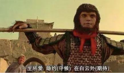 冰墩墩被炒到1000新币?!新加坡最帅议员也“带货”