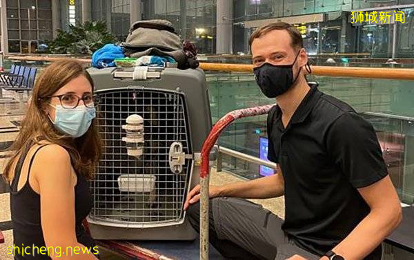 夫妻从新国搬回欧洲 花数千令吉带爱犬回家
