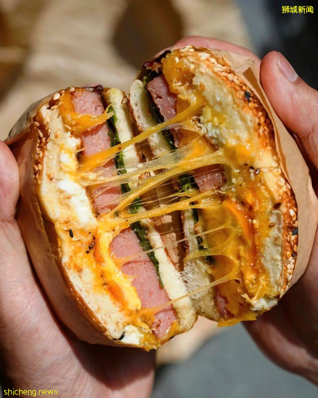 獅城MRT美食 潮男靓女逛吃攻略，荷蘭村日料、西餐、牛排、甜點吃起來