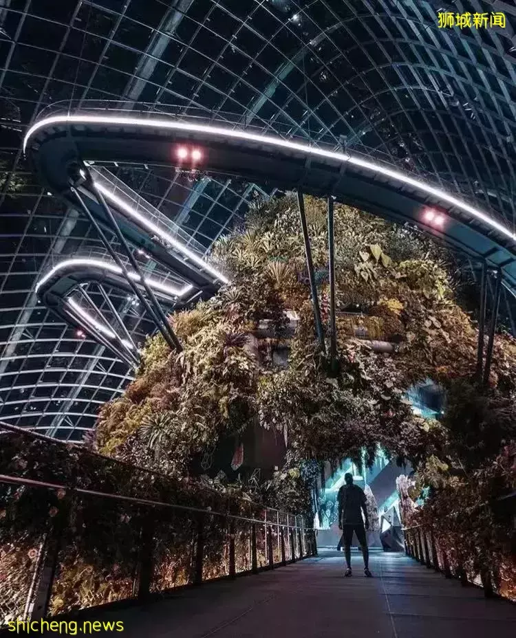 去新加坡旅遊，我保證你連機場都走不出去