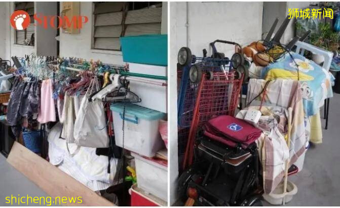 新加坡組屋變“客廳”？有點格局！養雞場、小叢林、毛片場