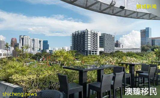 为什么想移民新加坡,这6个理由说到很多人心坎里了