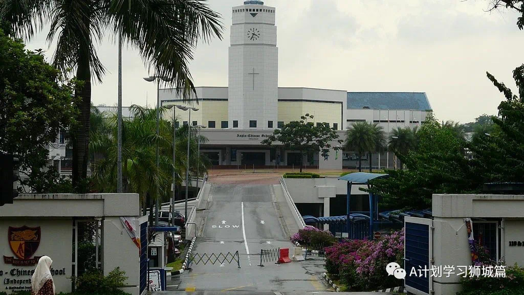 2019年全球IB學校前50所排名，新加坡就占了10所