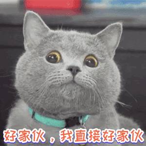 黑五逛烏節路不能錯過的deal！無腦買不虧！全商場低至3折+12%返現+美妝返券+超值滿贈