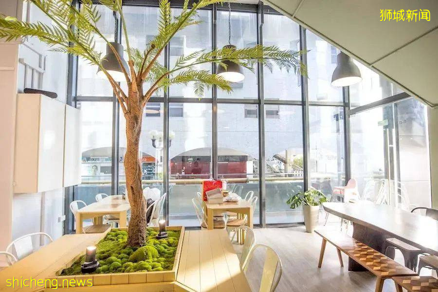 【周末去哪】$80住五星級酒店，郵輪$83/天，聖淘沙斜坡滑車買1送1