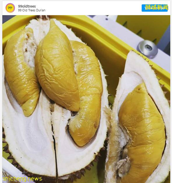 新加坡榴梿全攻略！實拍挑戰芥末和燒烤榴梿！太刺激了