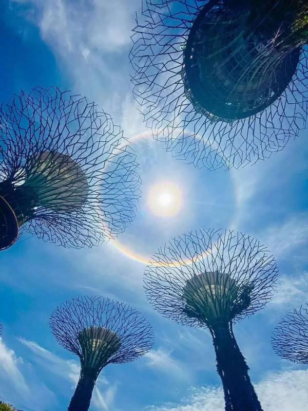 魔幻2020只剩100天！新加坡今天突然天降吉兆，有希望了