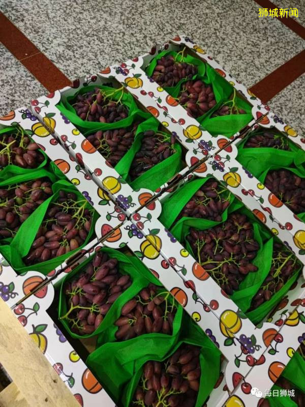 來自東北,空降新加坡!蟠桃,油桃和夏黑,跟熱帶水果說拜拜