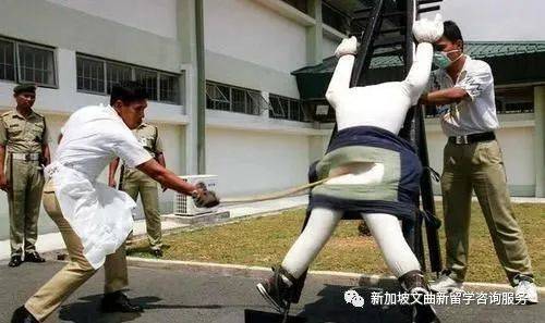 新加坡你不知道的小知識