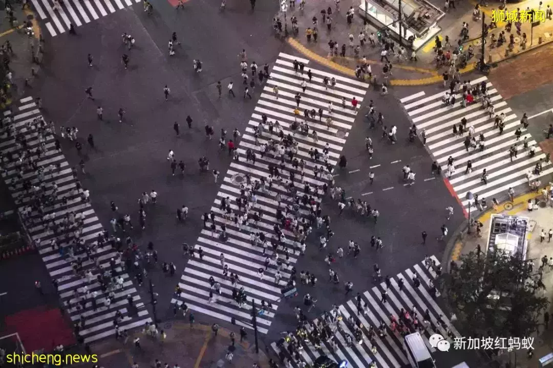 一窥日本“测试旅行团”行程　疫后游日本还能跟过去一样自在吗
