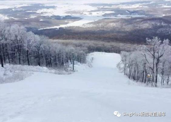 《新加坡最炫東北人圖鑒》