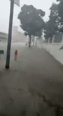 今增119，累计42432 | 暴雨初歇涨水方退，新加坡国会已解散，正式进入大选模式