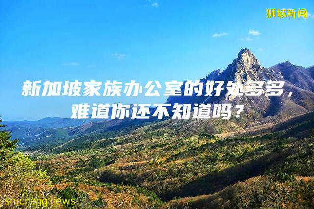 新加坡家族办公室的好处多多，难道你还不知道吗