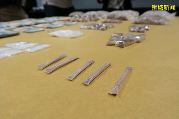 爬窗袭警还是逃不了！新国肃毒局捕10男女  起获240万毒品