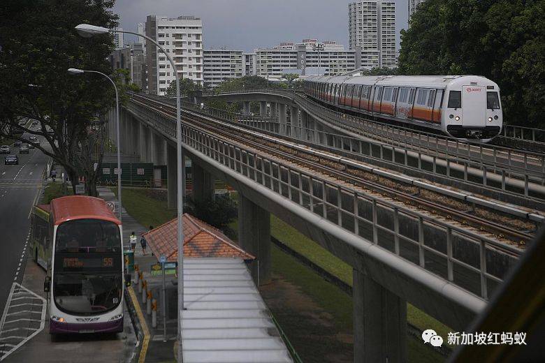 生活在新加坡倍感幸福的原因,原来还真不少