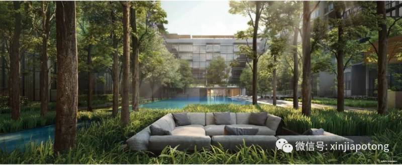 新加坡這個世界第一,不得不服