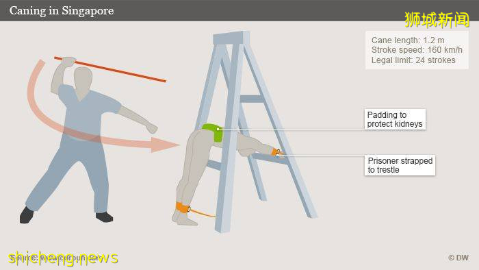 “孩子在新加坡学校被老师用鞭子打了，大腿都抽肿了我们却不知道……”