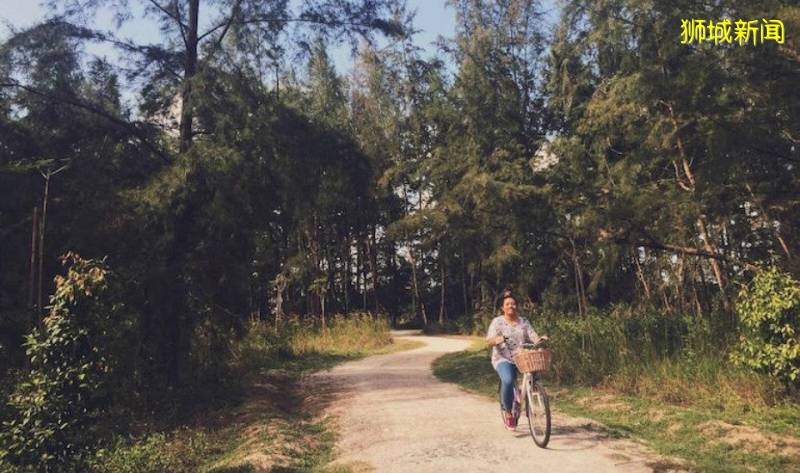 新加坡的15條風景超好的騎行路線大盤點,讓我們騎著腳踏車,重新認識新加坡