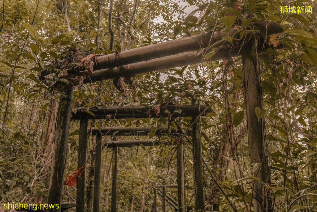隐藏在新加坡的日式鸟居⛩️和凉亭,就在Bukit Batok