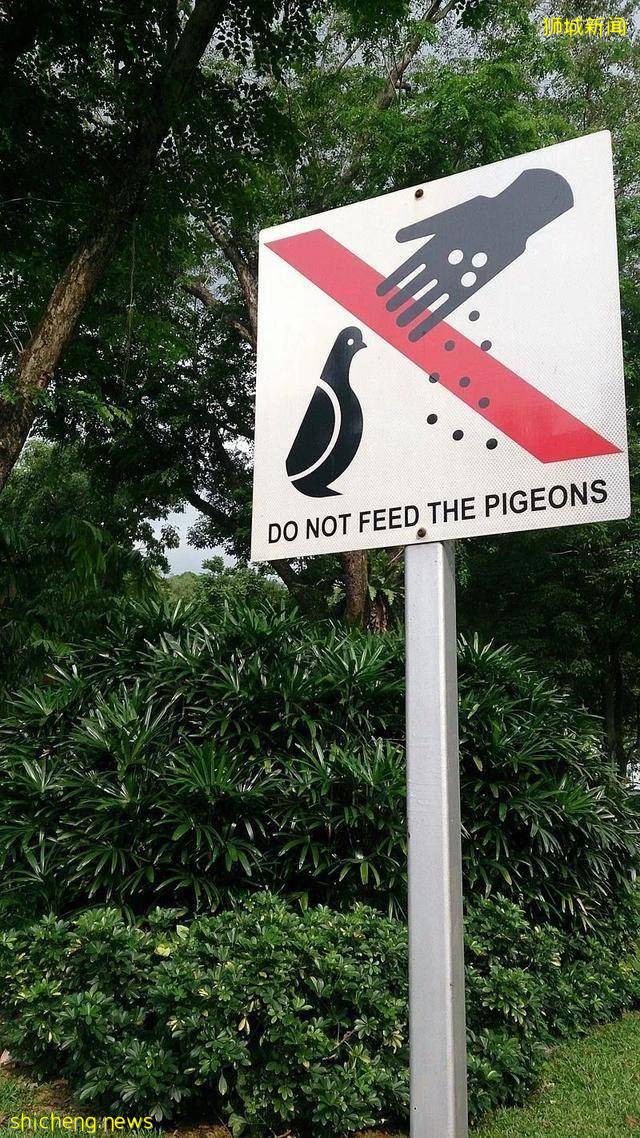 三十个新加坡冷知识，你确定都知道吗