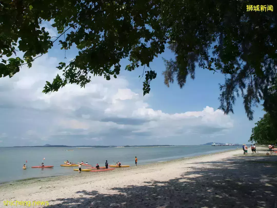 新加坡最新网红景点!风景绝美必打卡