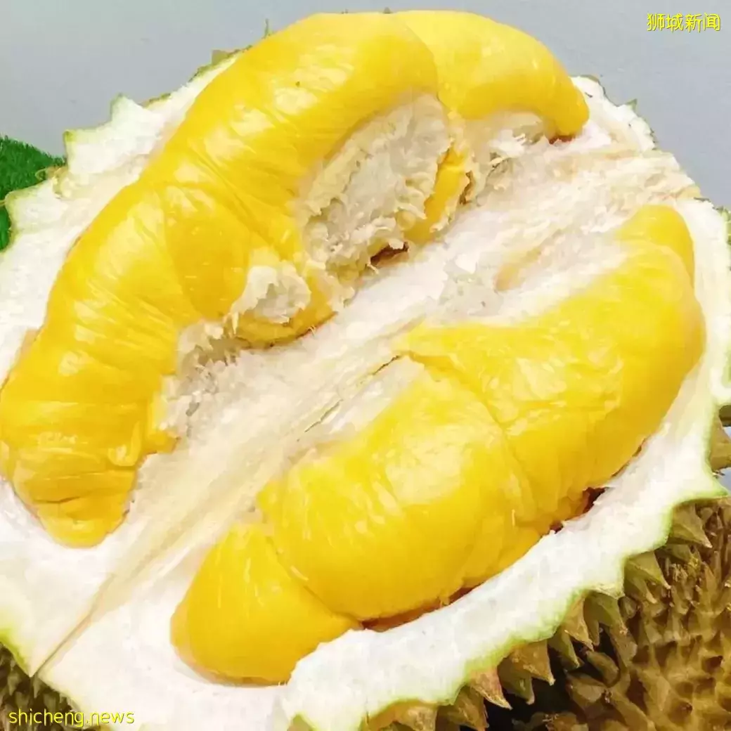 新加坡榴梿季来了啊啊啊!本地人吃榴梿秘籍,这7家最便宜