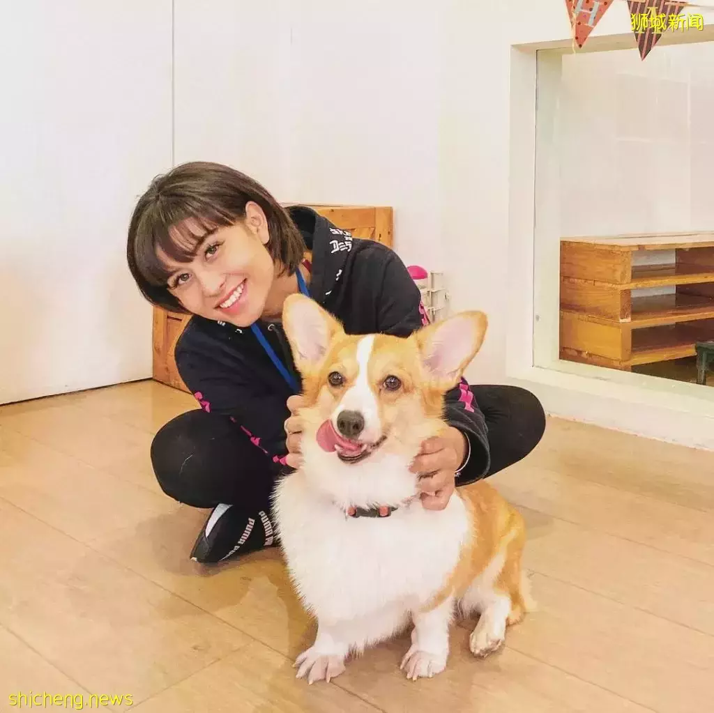 吃喝撸狗兩不誤!新加坡15家寵物友好咖啡廳 · 快上小可愛一起去體驗吧