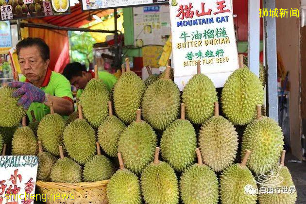 疫情過後,去新加坡不可錯過的16個體驗!