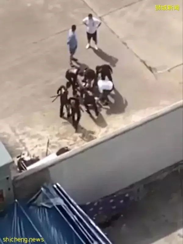 大馬青年被賣豬仔 扮白富美騙傻仔