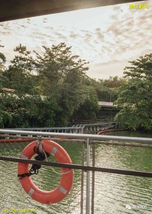 僅2天！新加坡動物園最牛的餵動物之旅，8折！還有幻光雨林和4大園5.5折起，搶啦