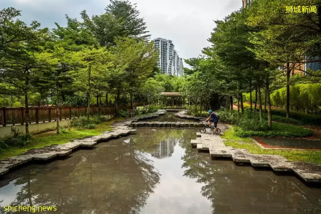 從新加坡市區至鄰裏,騎一趟時空交疊之旅