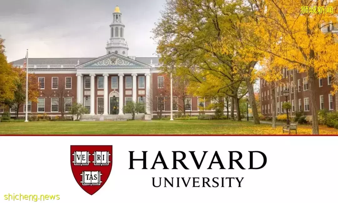 在新加坡，如何成爲總理？總理的進階之路，到底有多難