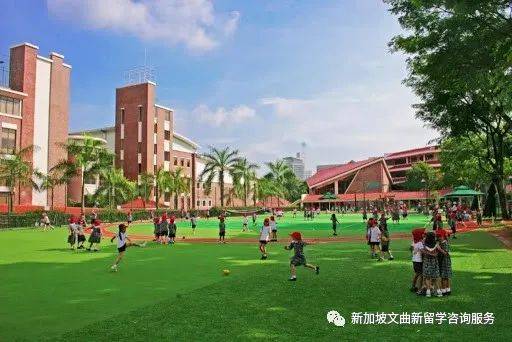 東陵信托國際學校 Tanglin Trust School (TTS)