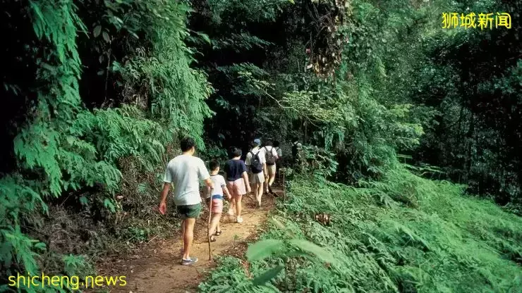 新加坡卸下最后一道防线，全面解封！放开夜生活，可以做这23件事情