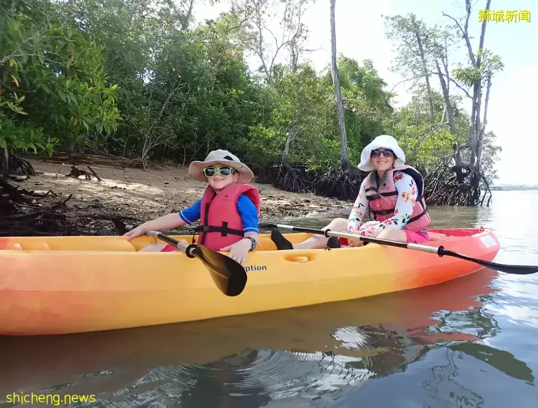 榴梿、野豬、猴子、各種魚蟹……體驗“新加坡最後的農村”