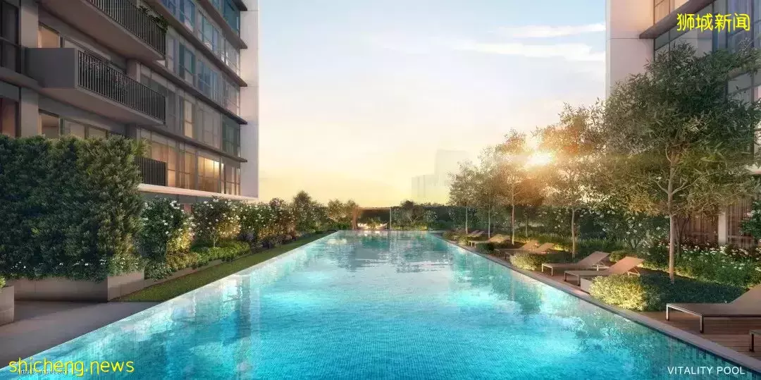 精品历久弥新，价值投资高地新加坡