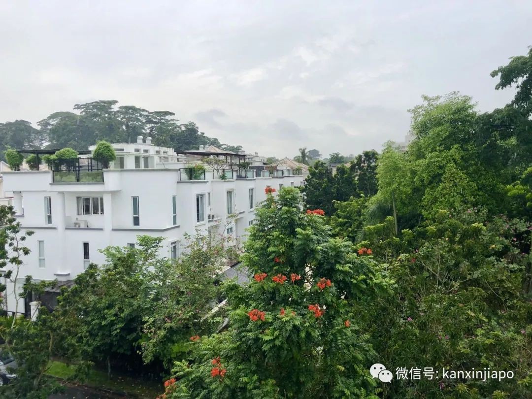 学区?海景?乌节路?中国人喜欢在新加坡买什么样的房?