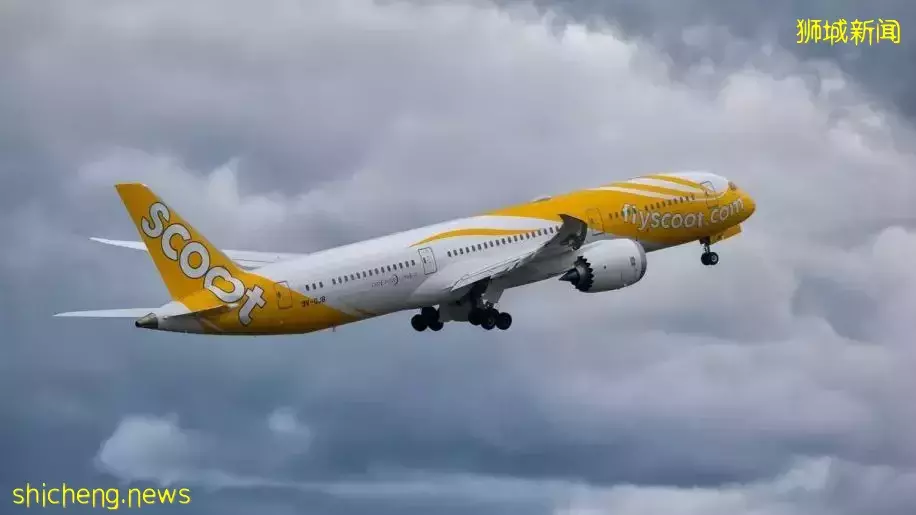 刚刚,官宣新加坡飞深圳复航!中新航班42天无熔断!网友亲测中国多省入境隔离7+7