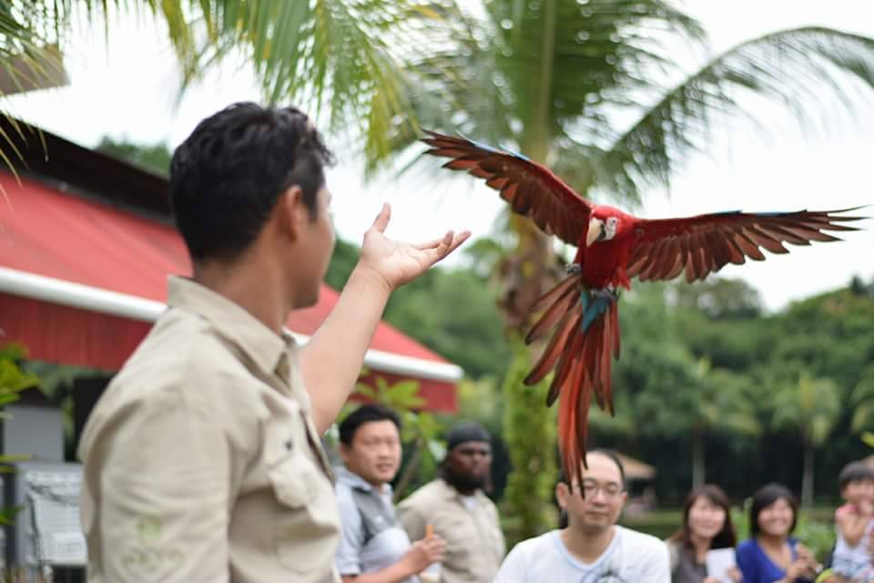 撈魚、釣蝦、蹦床、開挖機、燒烤...這家24小時新加坡農場，太好玩了吧