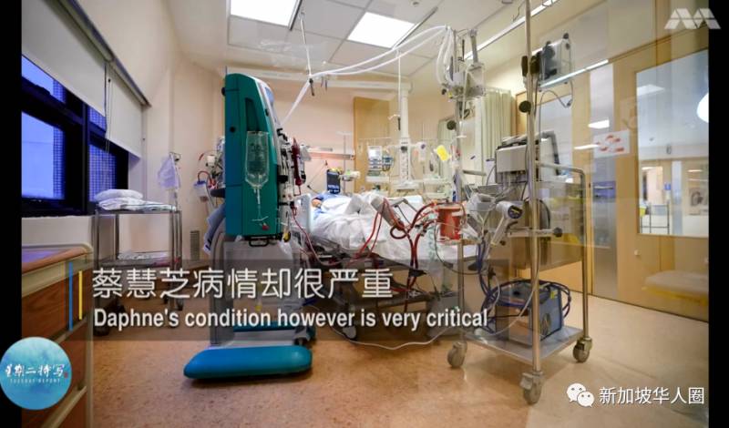 新增42例！新加坡重症患者命懸一線，裝葉克膜搶救4個月後死裏逃生