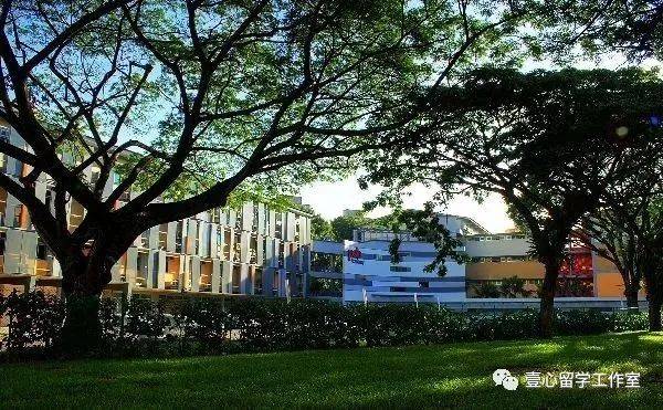 新加坡留學申請,這幾點你一定要知道