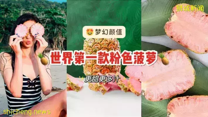 世界首款粉色菠萝！颜值超高😍快去Cold Storage买