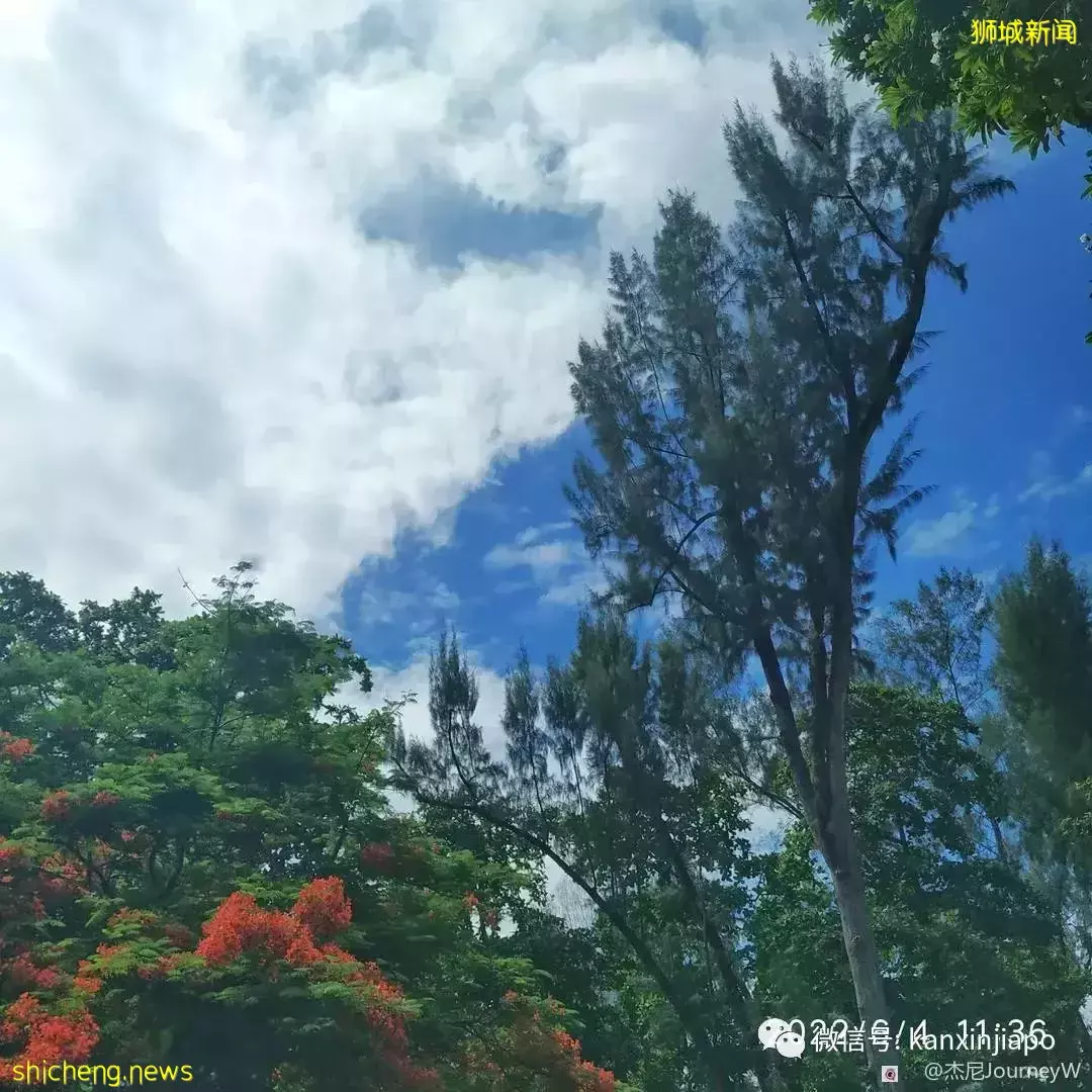 新加坡离岛攻略,半个多小时便能收获美景天堂