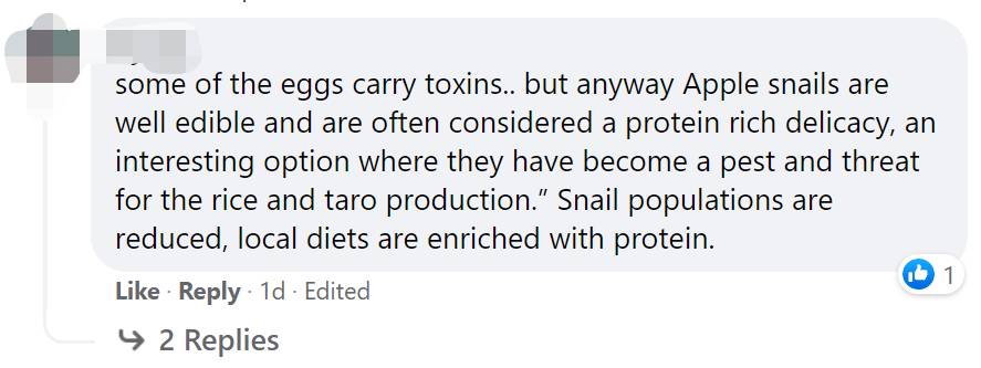 惊!新加坡蓄水池旁出现大量粉色生物……慎点