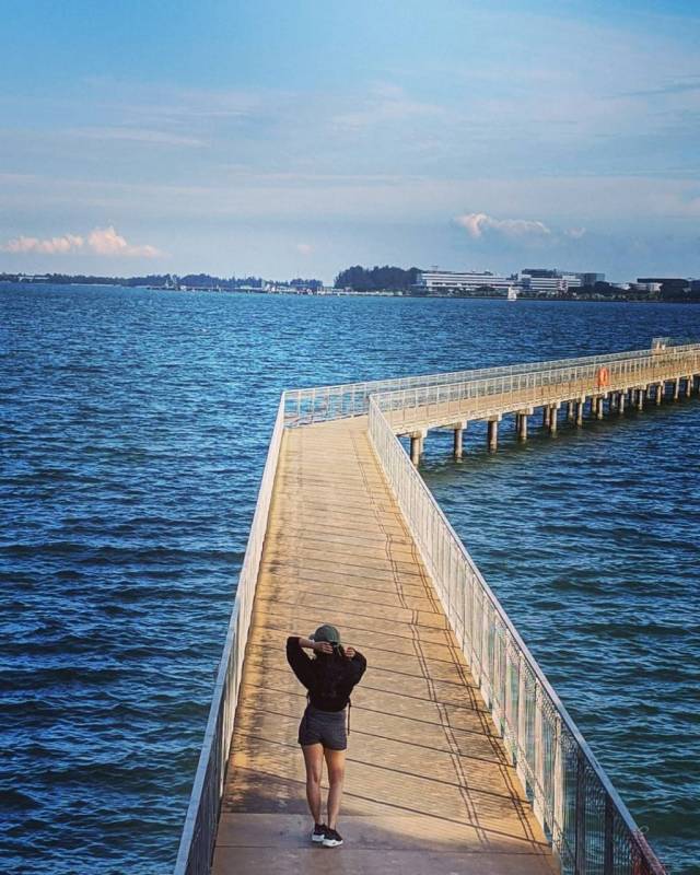 新加坡后花园Pulau Ubin!原始村落环岛骑行和登山,完整攻略+路线清单